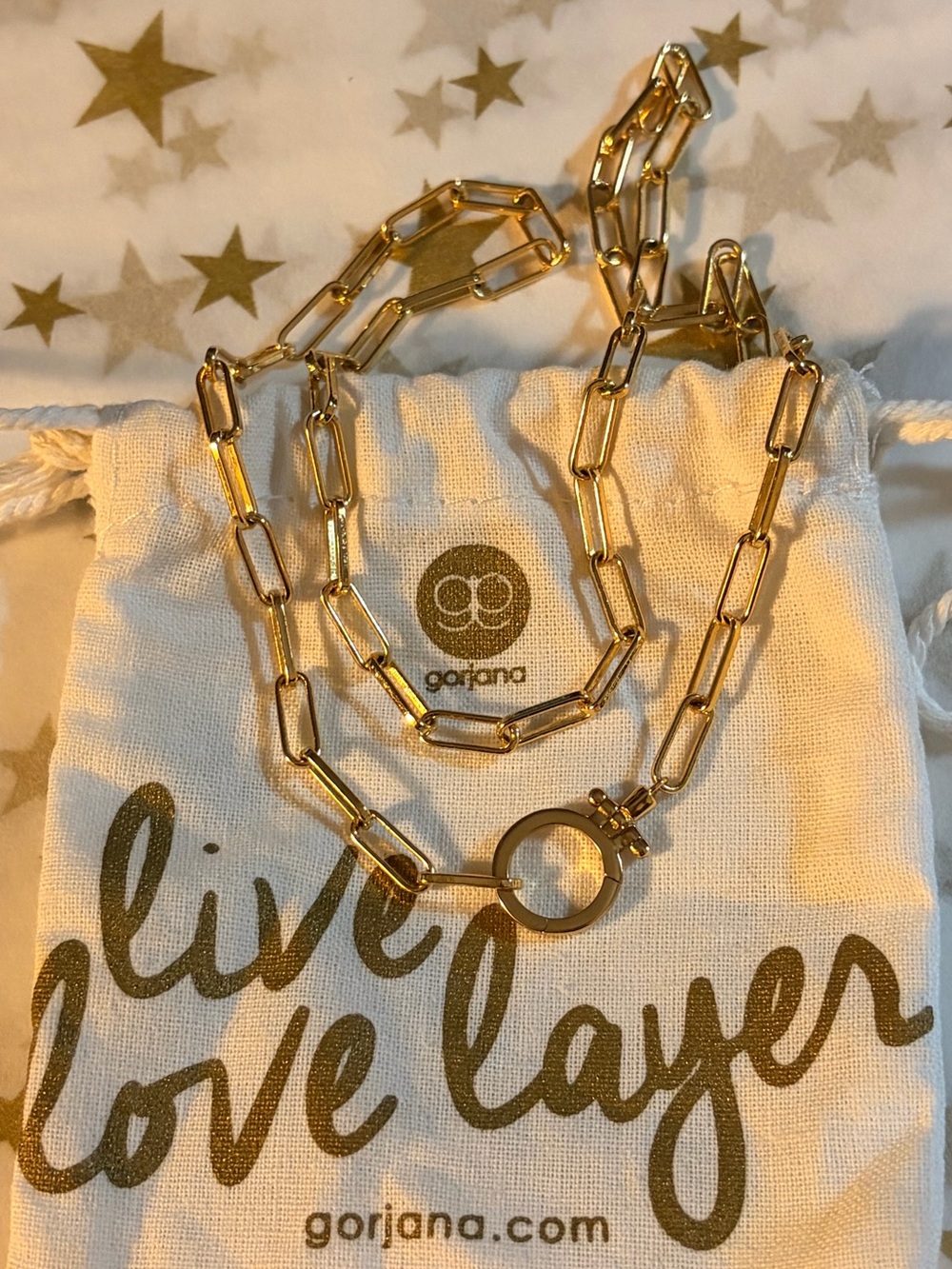 Gorjana Parker Gold Link Necklace with Round Clasp